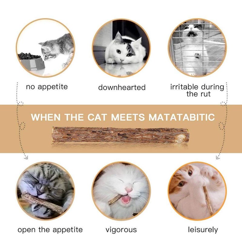 WoLover 10 PCS Cat Catnip Sticks, Natural Matatabi Silvervine Sticks - Cleaning Teeth Molar Tools Kitten Chew Toy Natural Catnip Cats Toy - Image 5